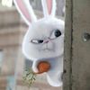 学编程的小白Cat